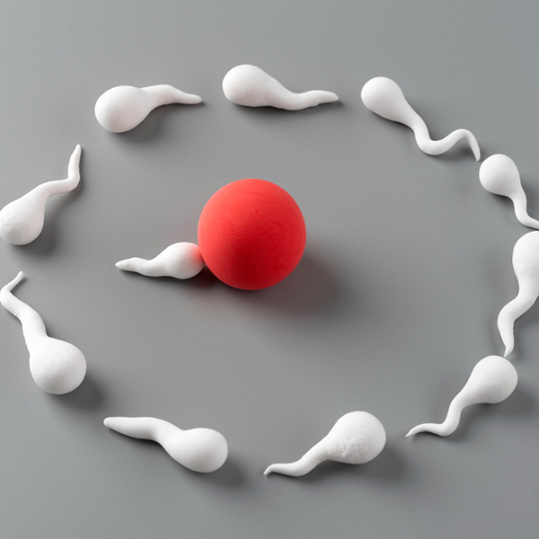 Sperm donasyonu kıbrıs