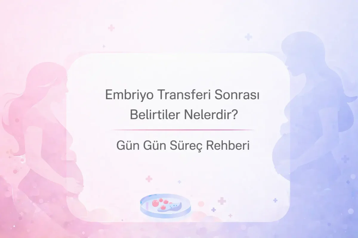 Embriyo transferi sonrası süreç rehberi doğuş tüp bebek