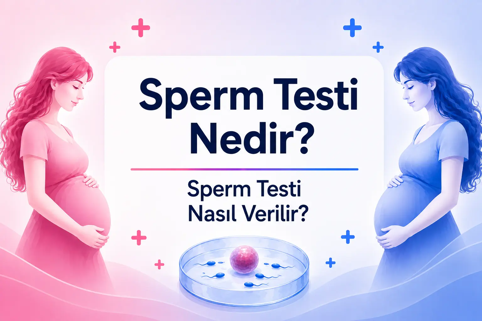 Sperm Testi Nedir? Sperm Testi Nasıl Verilir?
