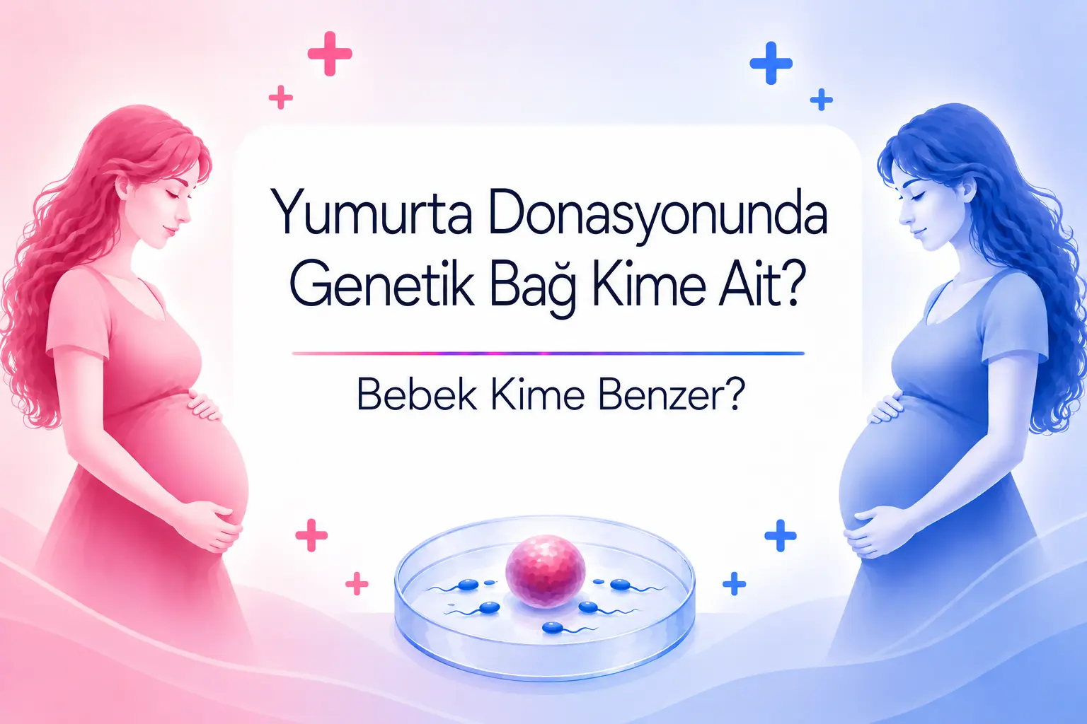 Yumurta Donasyonu ve Genetik Bağ