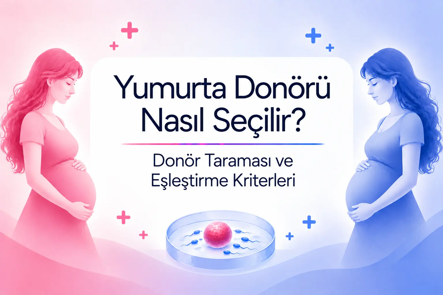 Yumurta Donorü Nasıl seçilir